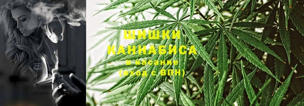 гидра Алзамай